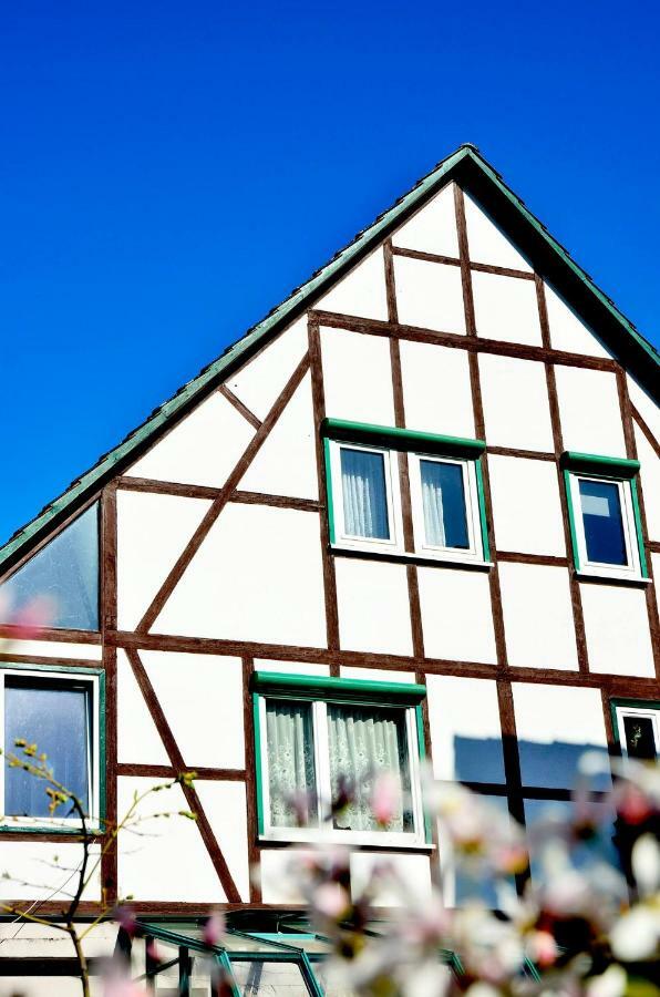 Ferienwohnung Wilhelm Springstille Exterior photo